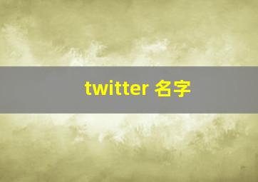 twitter 名字